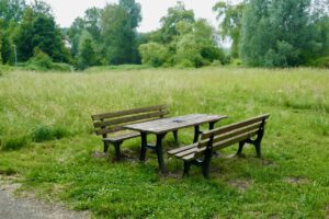 Tisch mit zwei Bänken im Grünen