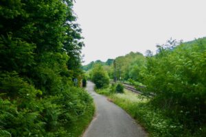 Ein Weg am Wald entlang