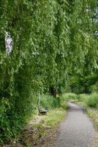 Weg und Bank
